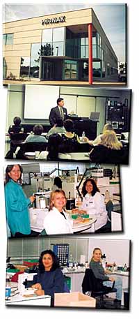 office.jpg (34421 bytes)